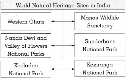 Maharashtra Board Class 10 History Solutions Chapter 3 Applied History ...