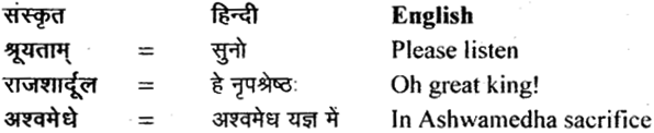 NCERT Solutions for Class 11 Sanskrit Bhaswati Chapter 2 सौवर्णो नकुलः 1