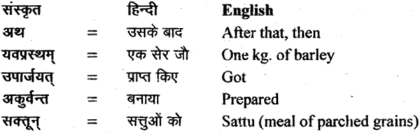 NCERT Solutions for Class 11 Sanskrit Bhaswati Chapter 2 सौवर्णो नकुलः 11
