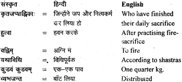 NCERT Solutions for Class 11 Sanskrit Bhaswati Chapter 2 सौवर्णो नकुलः 12