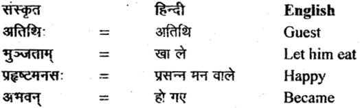 NCERT Solutions for Class 11 Sanskrit Bhaswati Chapter 2 सौवर्णो नकुलः 13