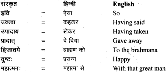 NCERT Solutions for Class 11 Sanskrit Bhaswati Chapter 2 सौवर्णो नकुलः 15