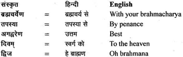 NCERT Solutions for Class 11 Sanskrit Bhaswati Chapter 2 सौवर्णो नकुलः 18