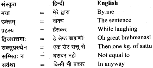 NCERT Solutions for Class 11 Sanskrit Bhaswati Chapter 2 सौवर्णो नकुलः 21
