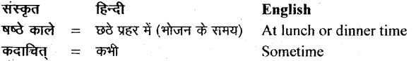 NCERT Solutions for Class 11 Sanskrit Bhaswati Chapter 2 सौवर्णो नकुलः 8